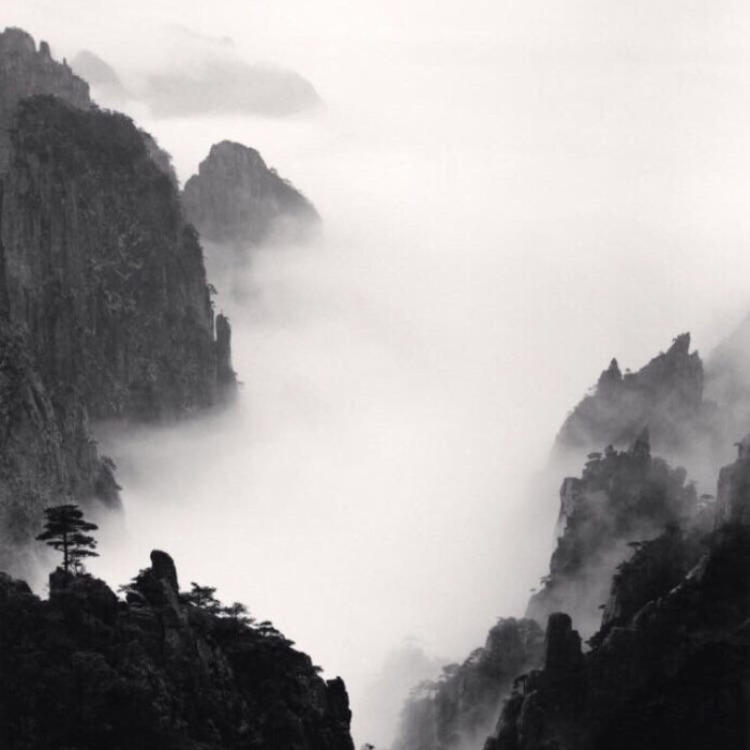 东京（明治维新后故事主要发生地） - 独家综艺节目在线观看 - 线上看电影